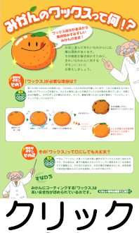 チラシ